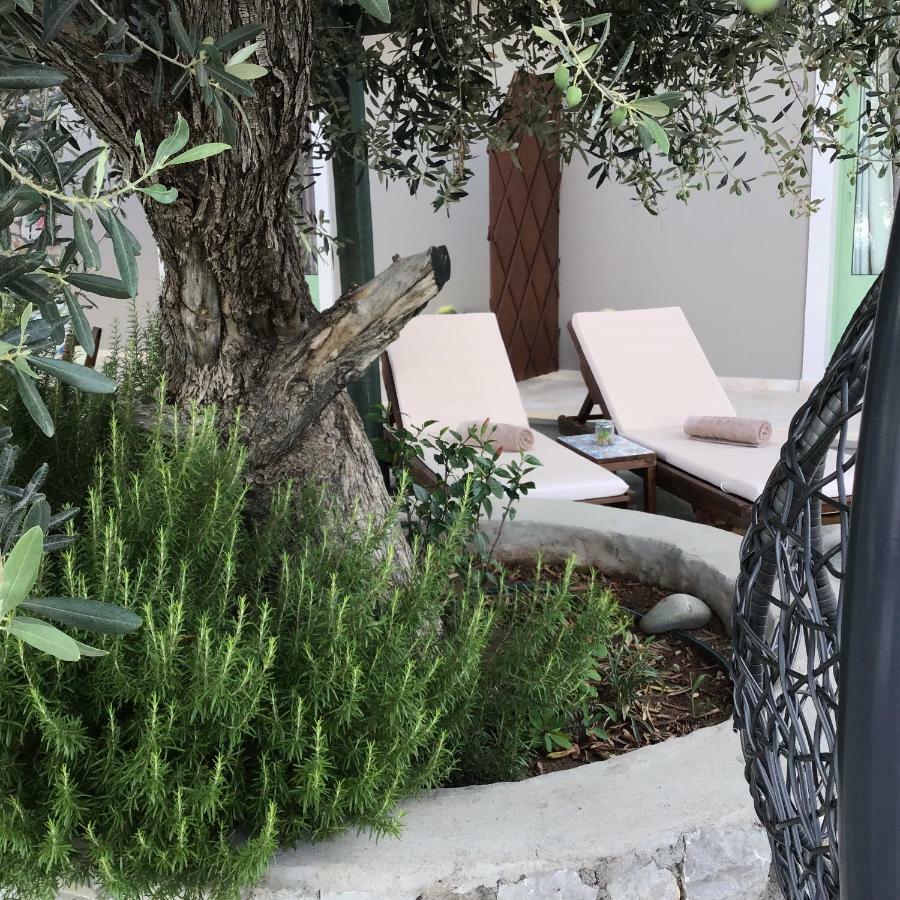 Fiore Di Flora أرخانجلوس المظهر الخارجي الصورة