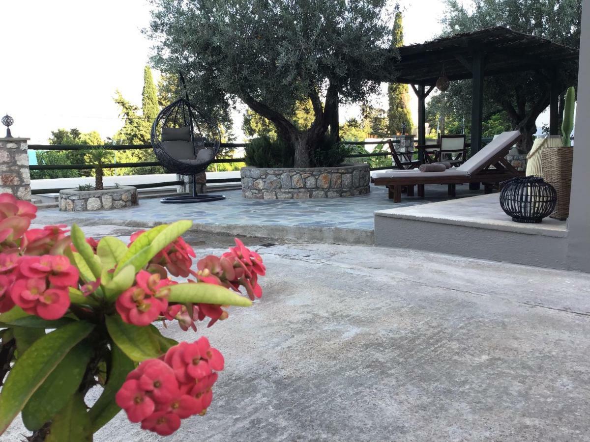 Fiore Di Flora أرخانجلوس المظهر الخارجي الصورة
